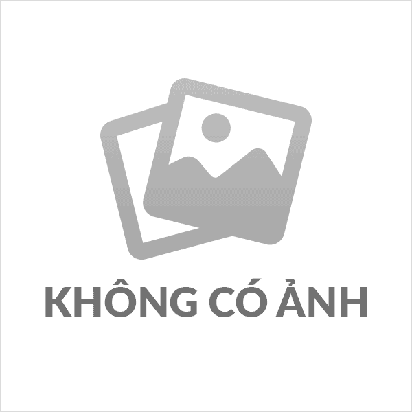 NIÊM YẾT VIỆC ĐẤU GIÁ TÀI SẢN XÃ PHONG THỔ ( LẦN 2)